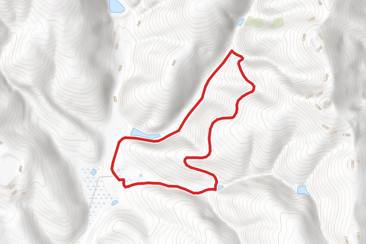 Laughlin, Tamcan, Brushy Peak Loop