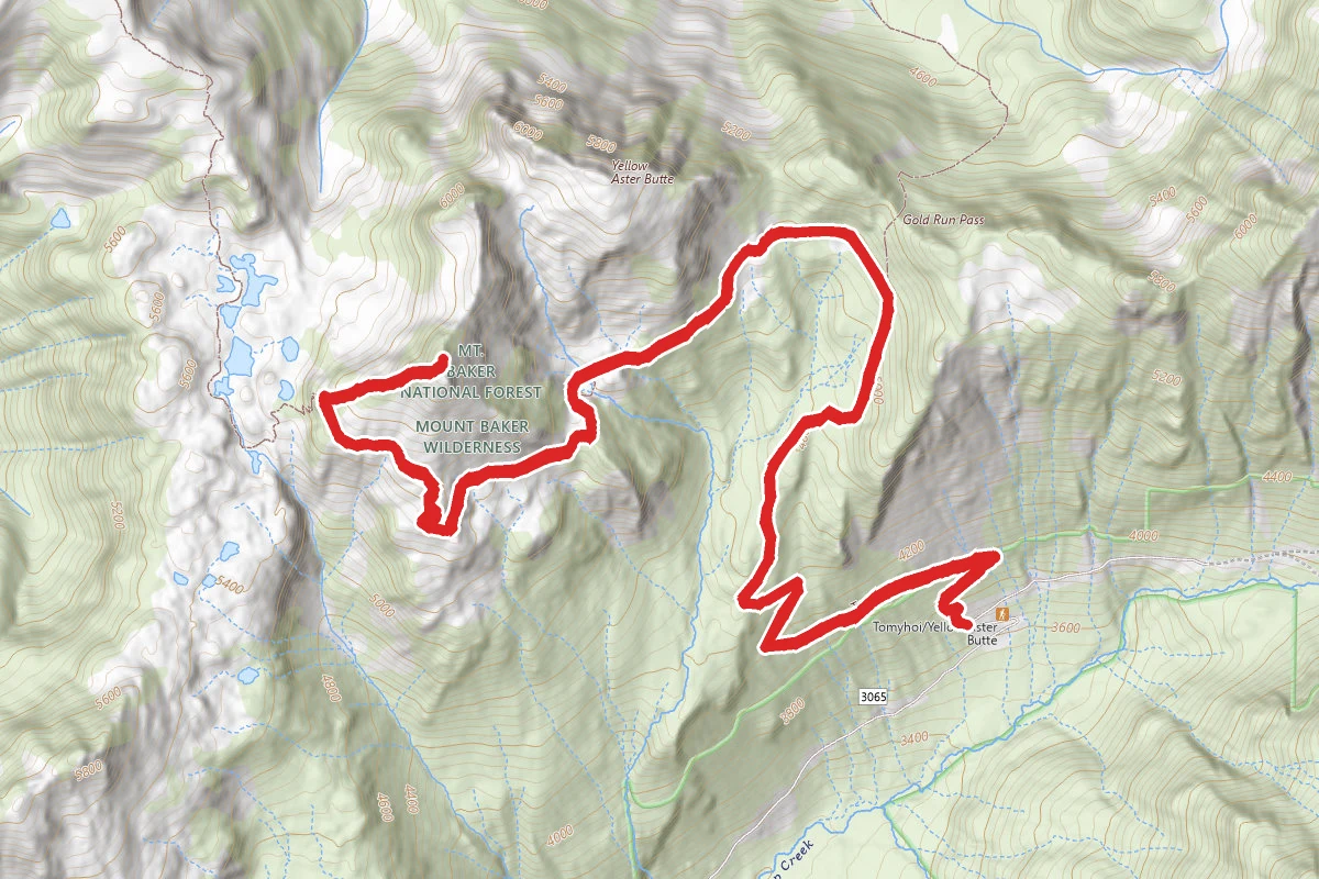 Yellow Aster Butte Trail