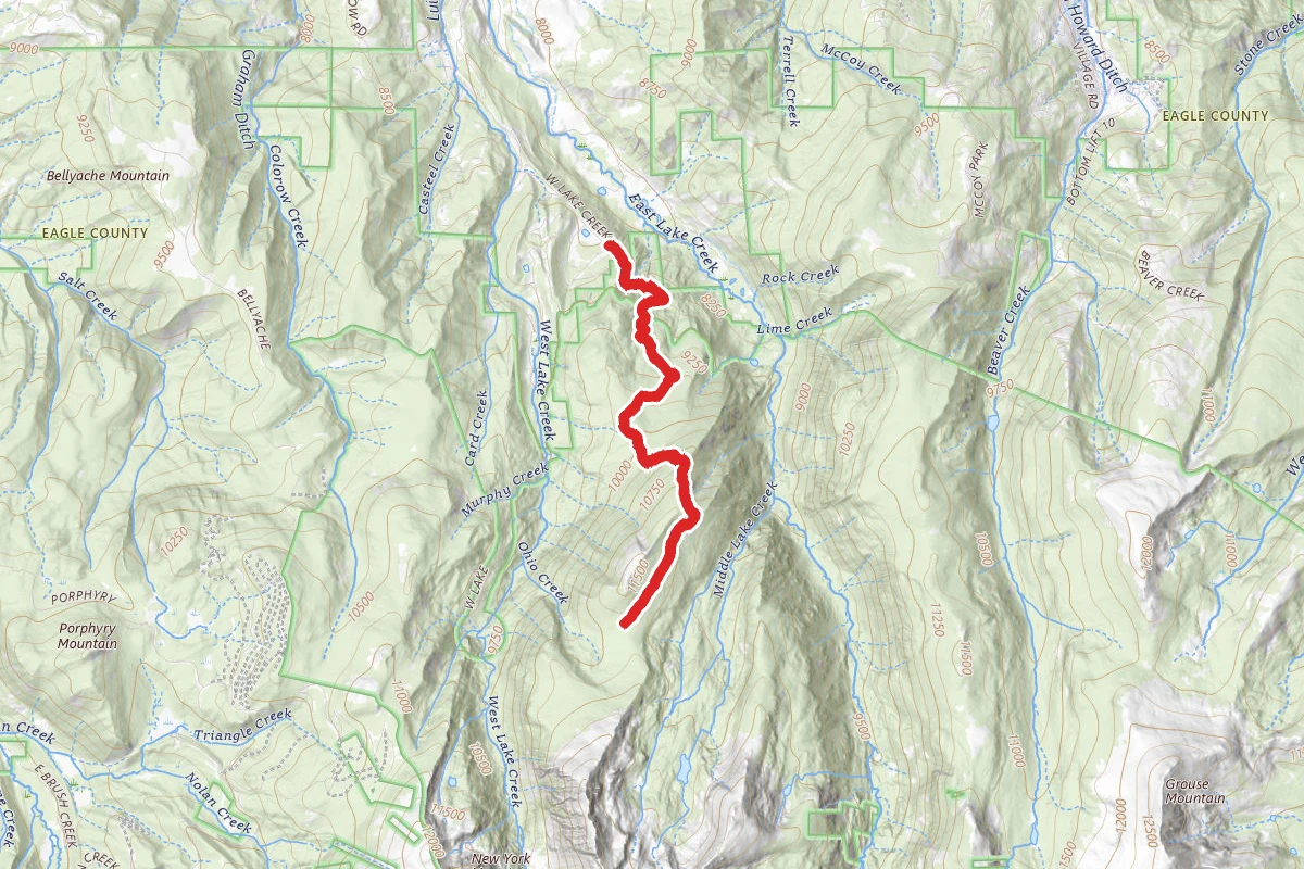 Dead Dog Trail
