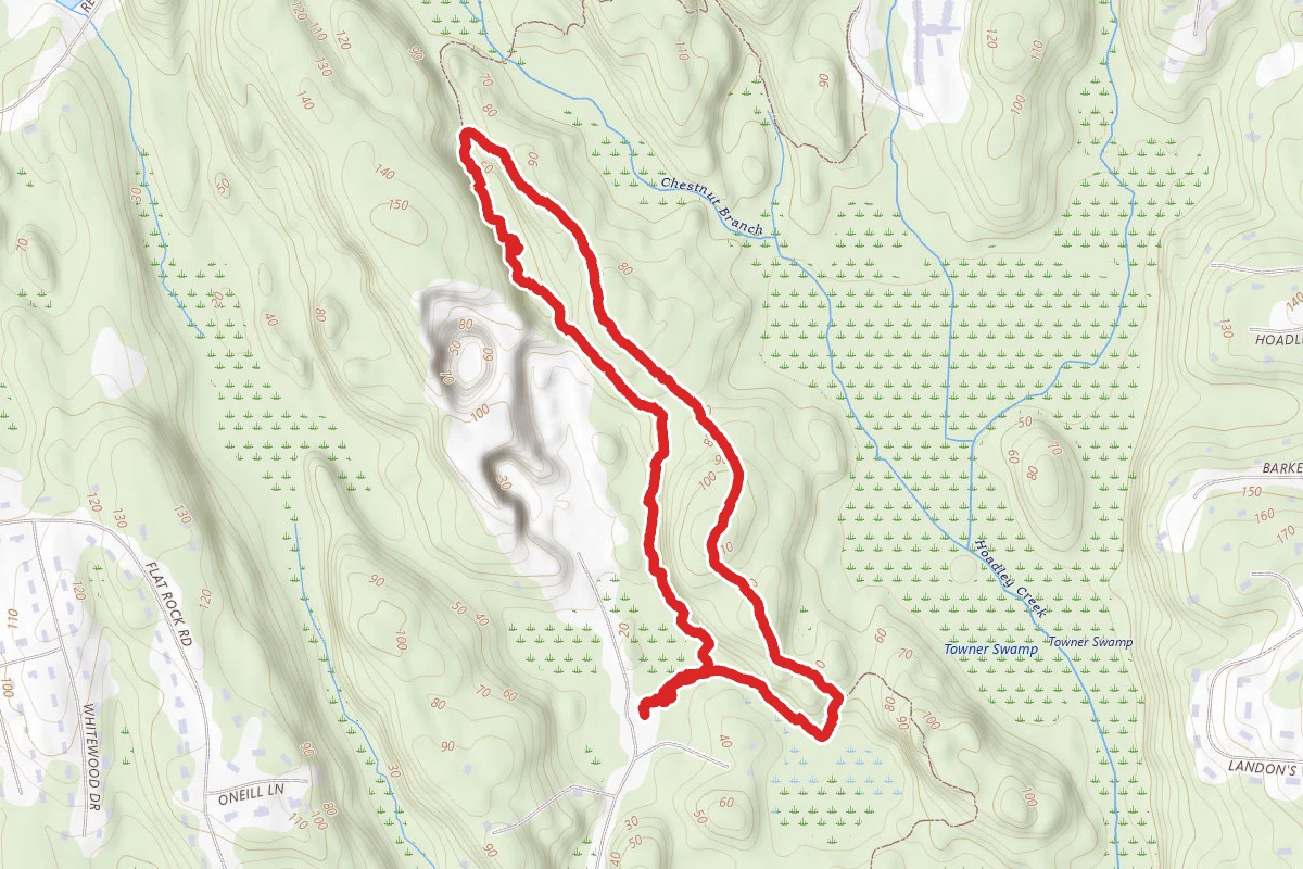 White Circle, Red and Green Loop