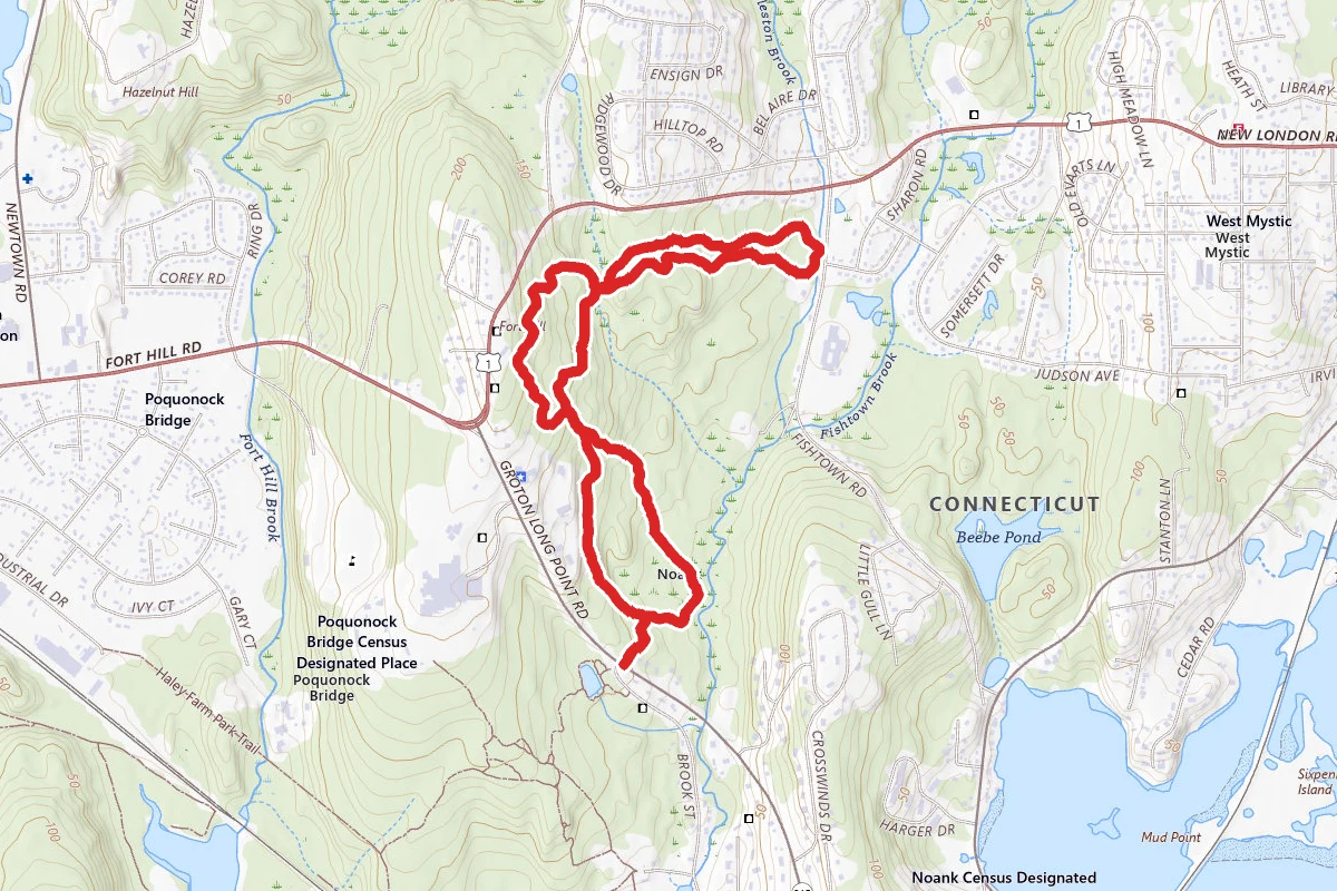 Merritt Family Forest Loop