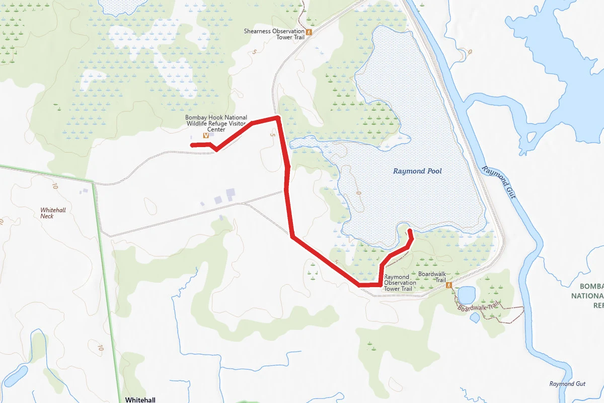 Raymond Observation Tower Trail