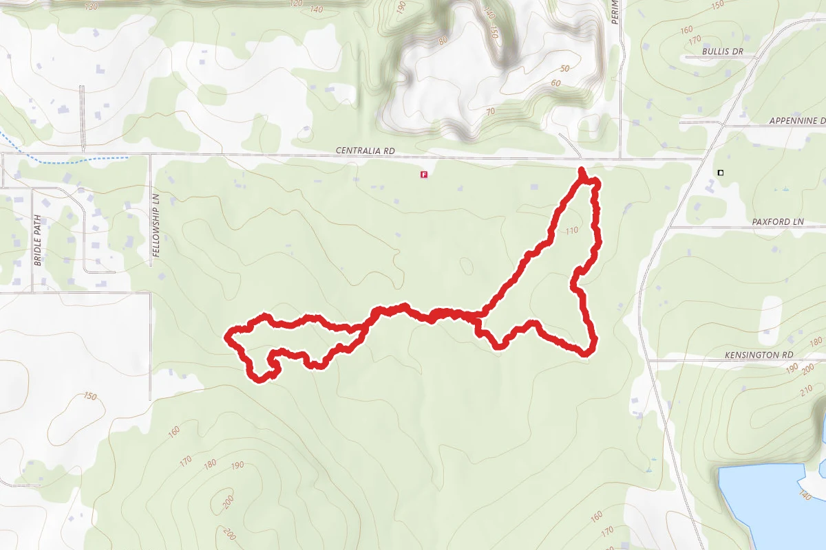 Fickett Hammock Nature Trail