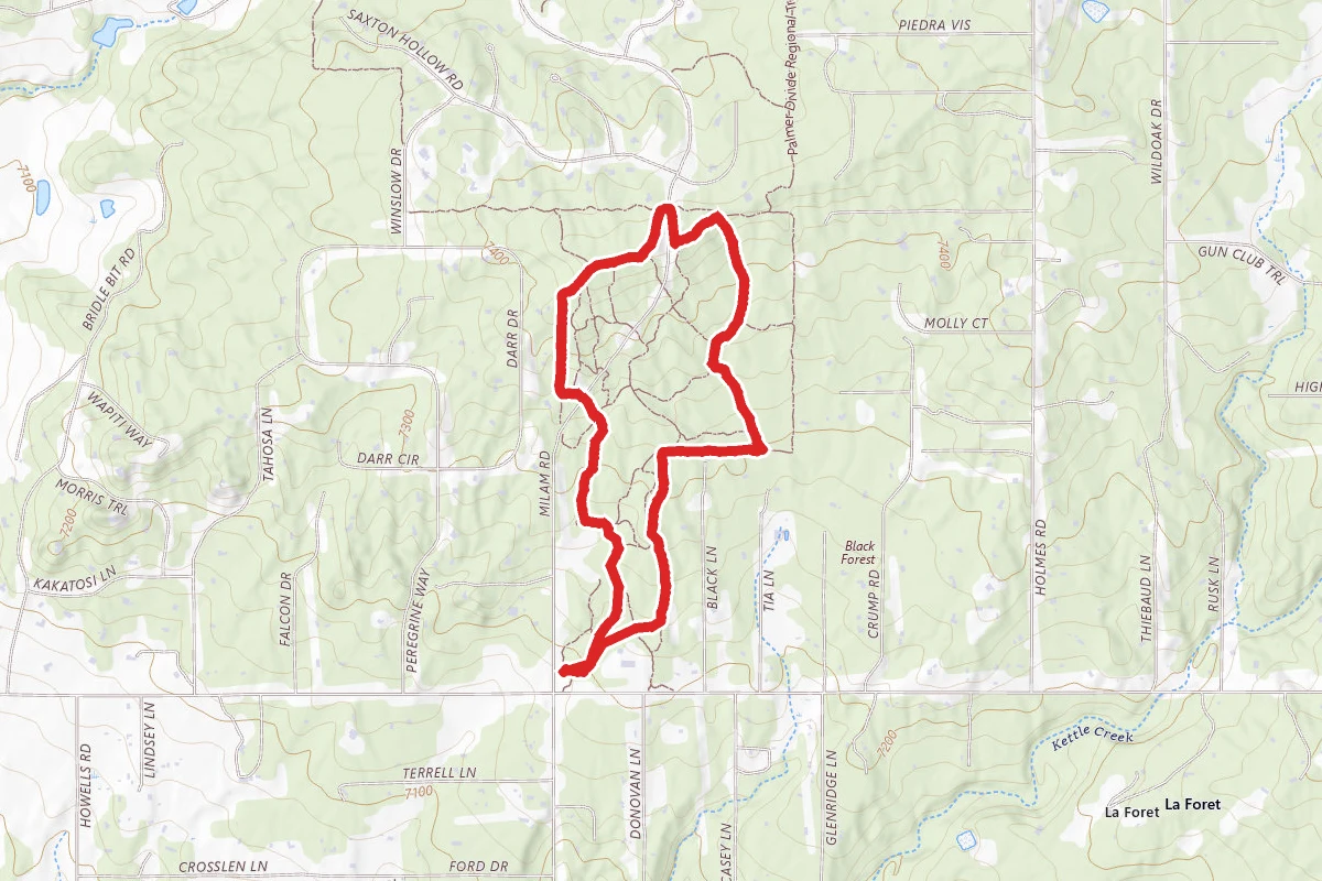 Black Forest Loop