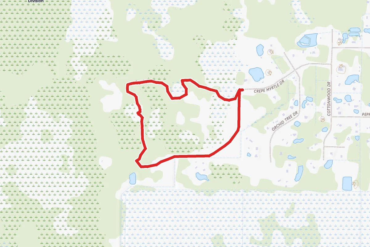 Grant Flatwoods Sanctuary Red Trail