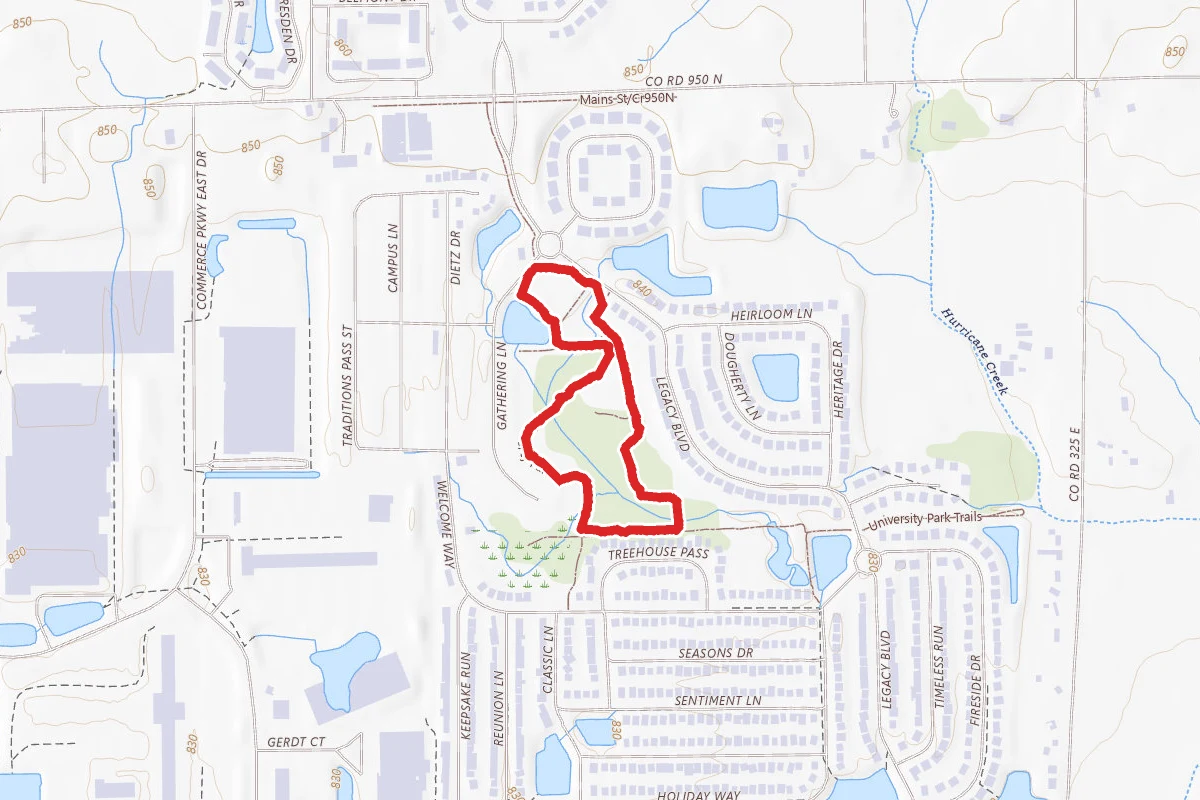 Discovery Woods