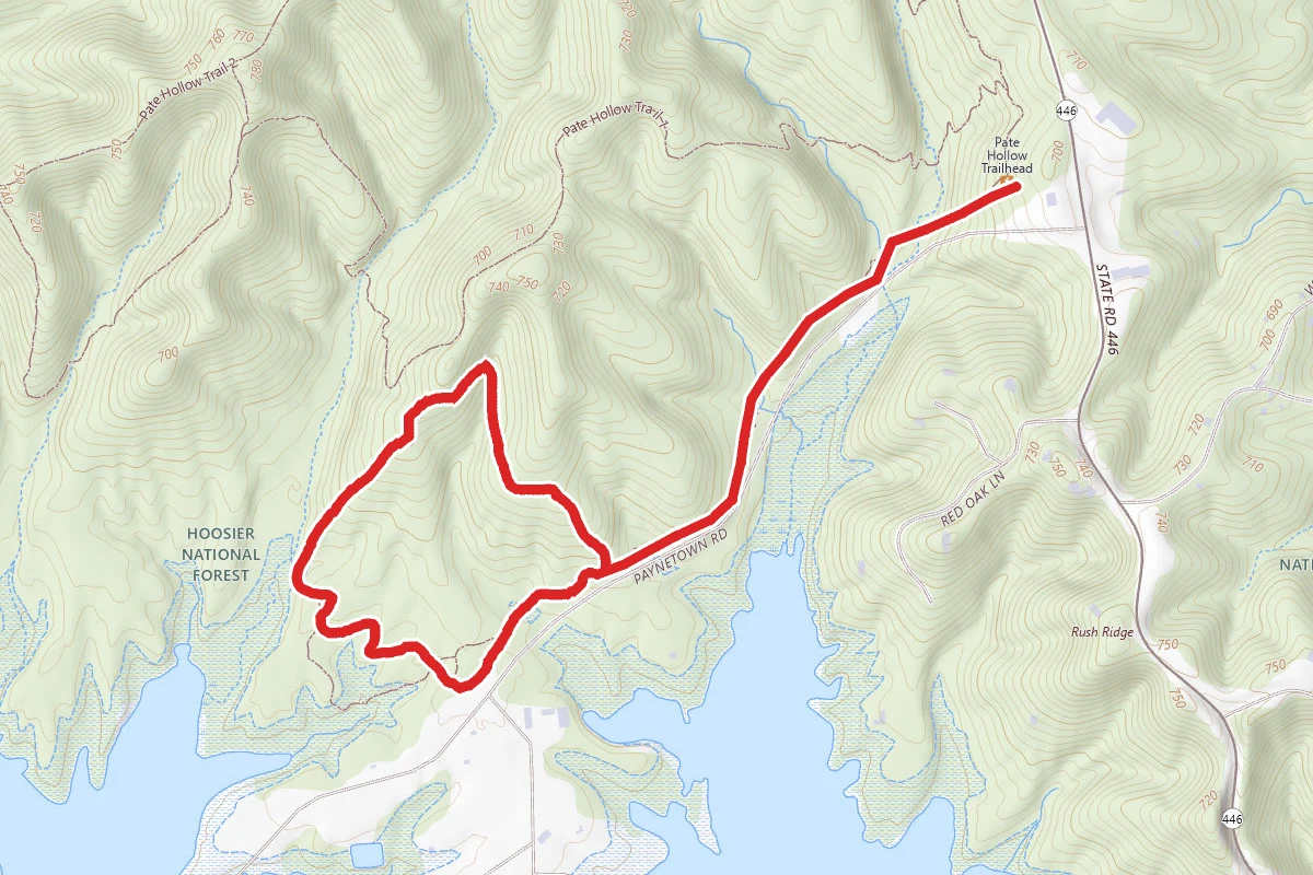 Whitetail and Blue Bird Loop