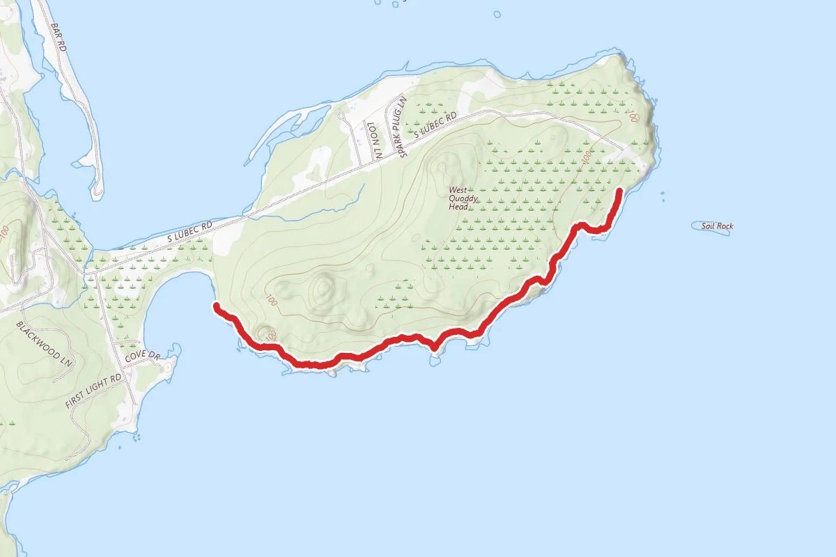 Quoddy Head Coastal Trail