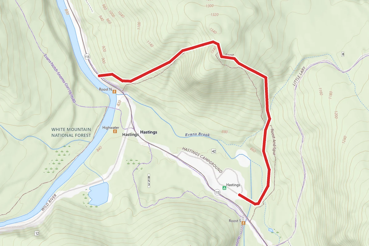 The Roost Trail