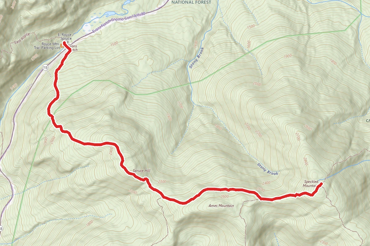 Speckled Mountain via Spruce Hill and Bickford Brook Trails