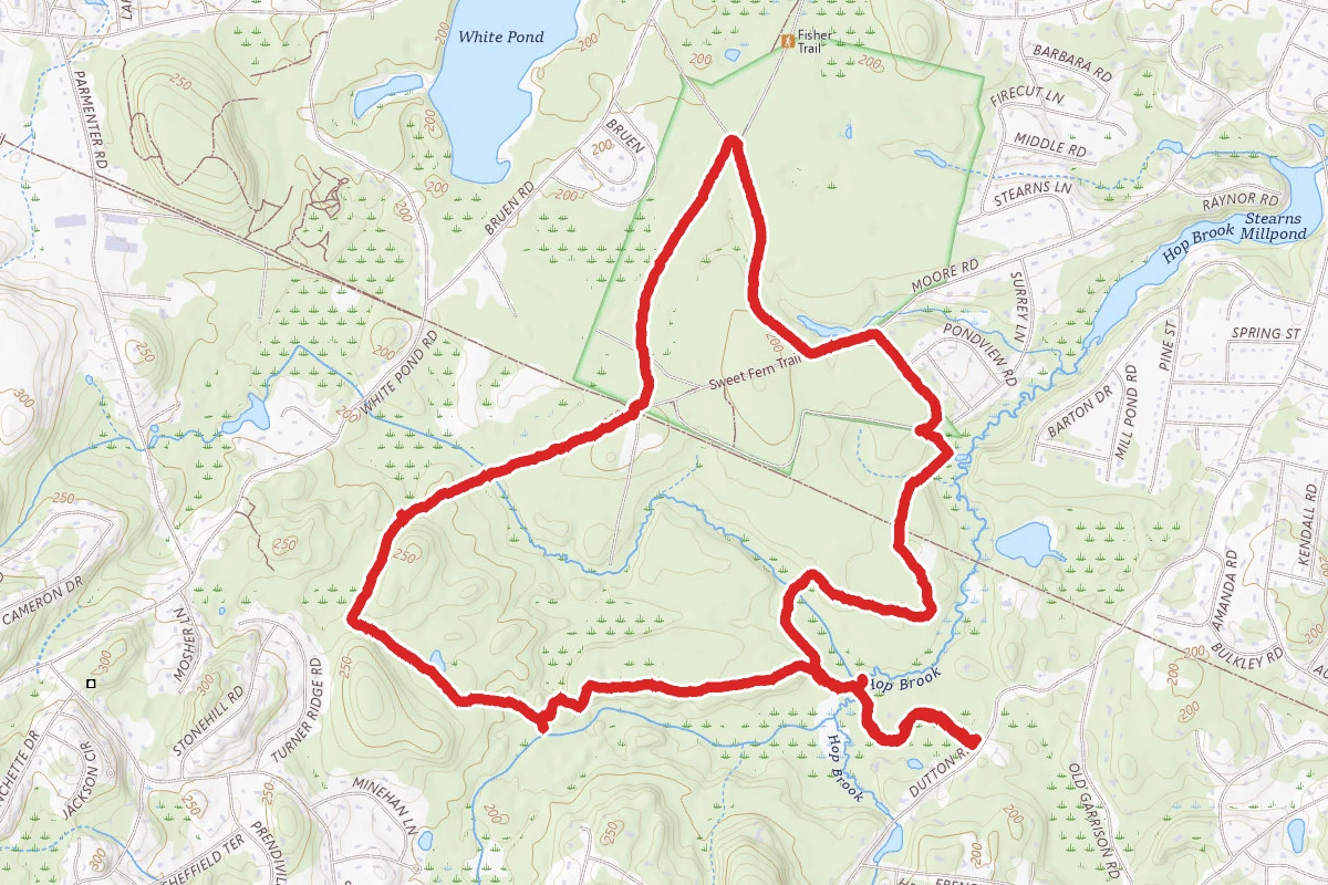 Plymton, Witches Cove, Fischer, Desert Loop