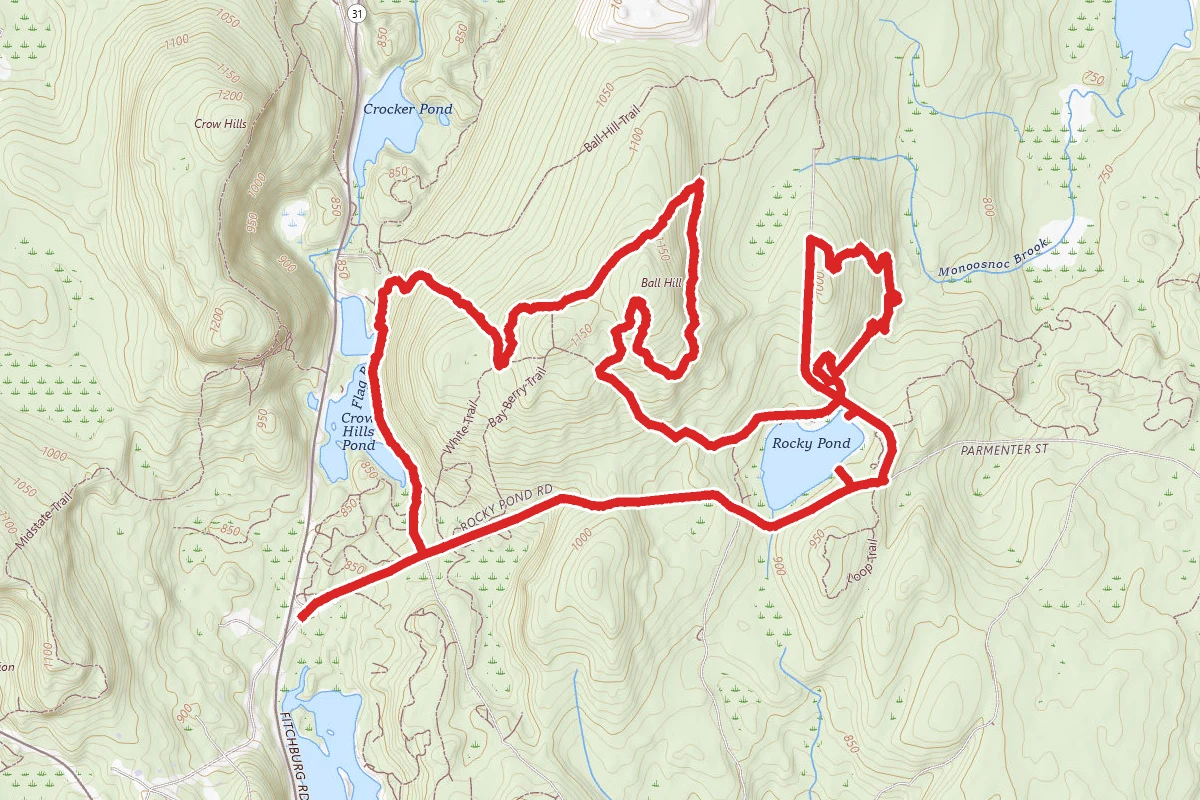 Rocky Pond and Ball Hill and Lower Crow Hill Pond Trail