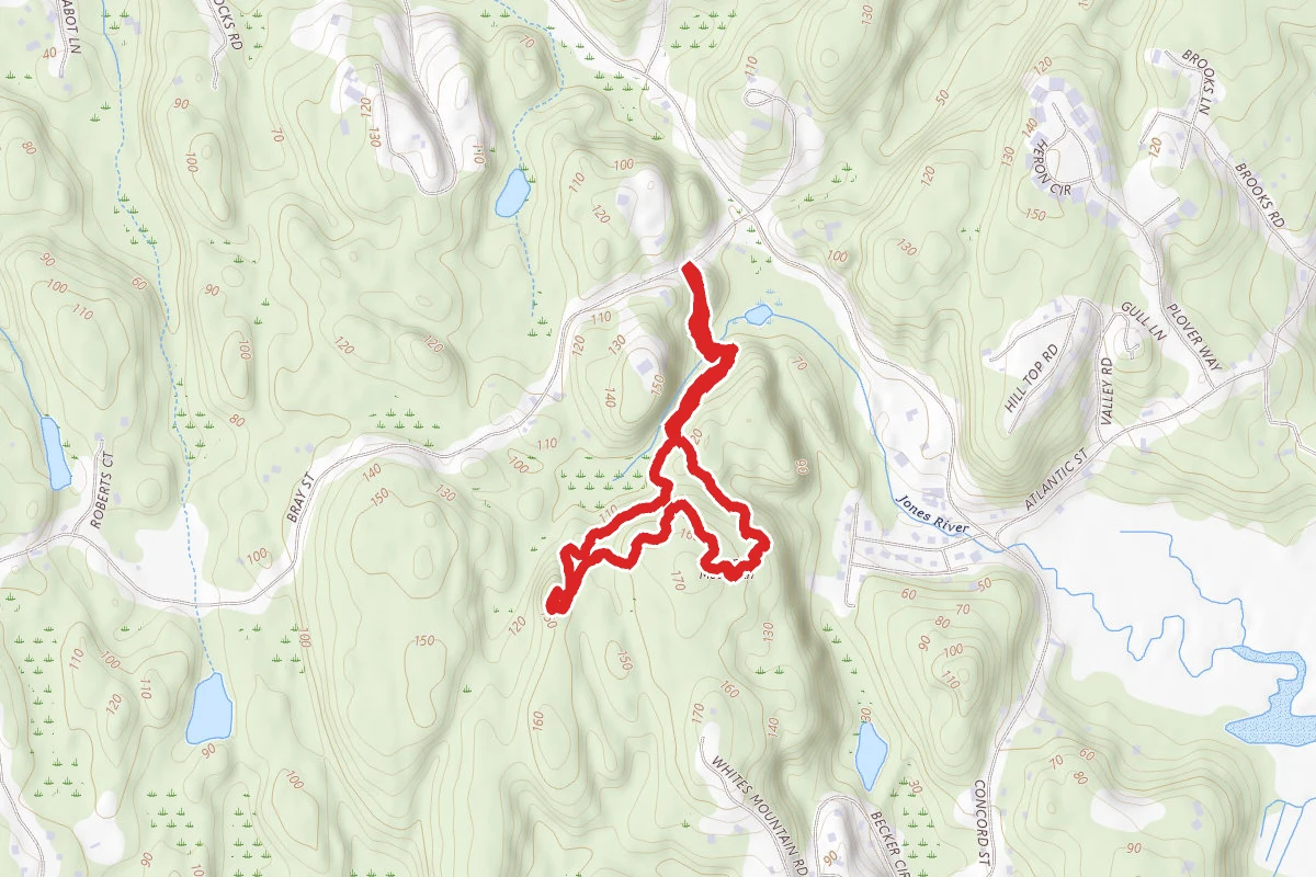 Thompson Mountain Loop