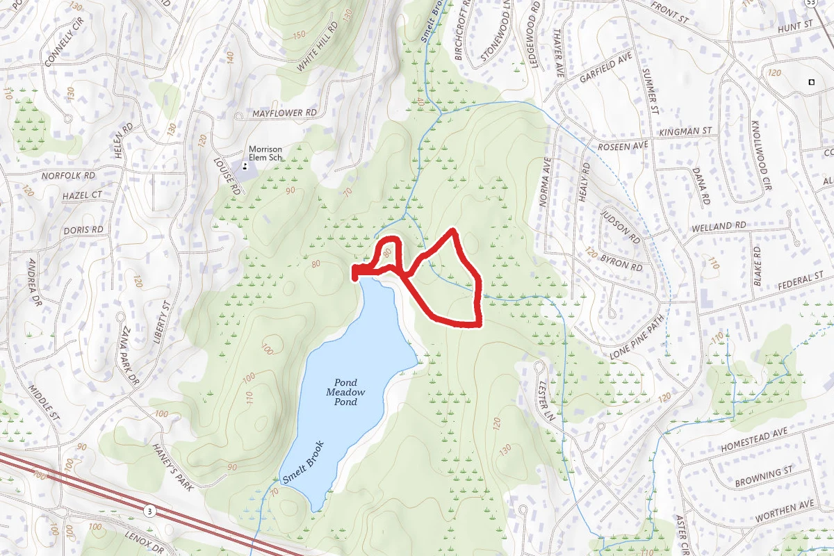 Pond Meadow Blue Trail Loop