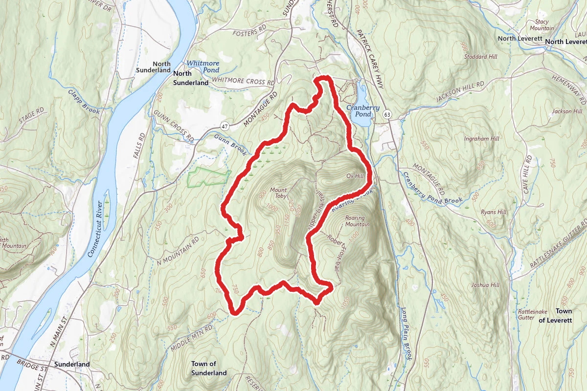 Sugar Farms Trail to Tower Road Loop