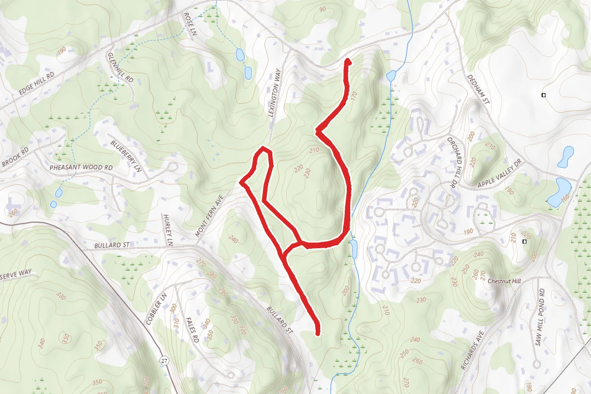 Chestnut Hill via Warner Trail