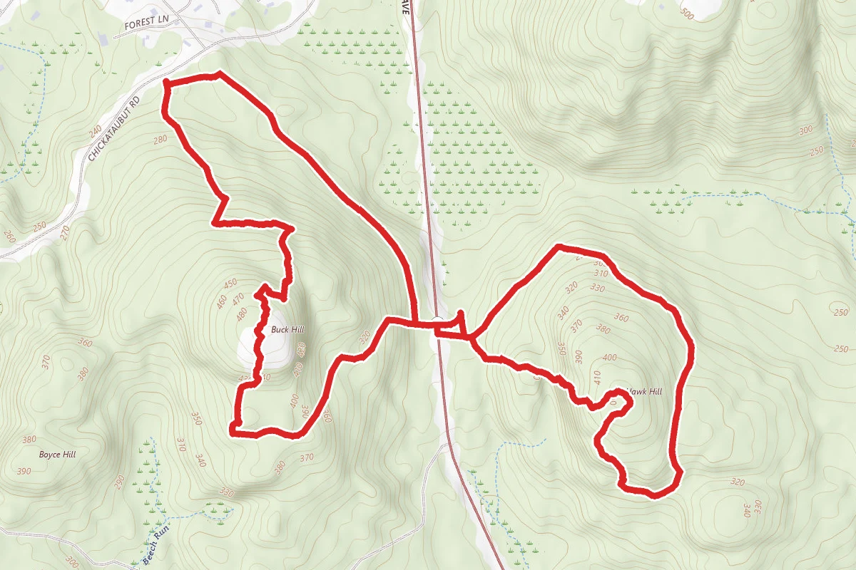 Buck Hill to Hawk Hill Loop