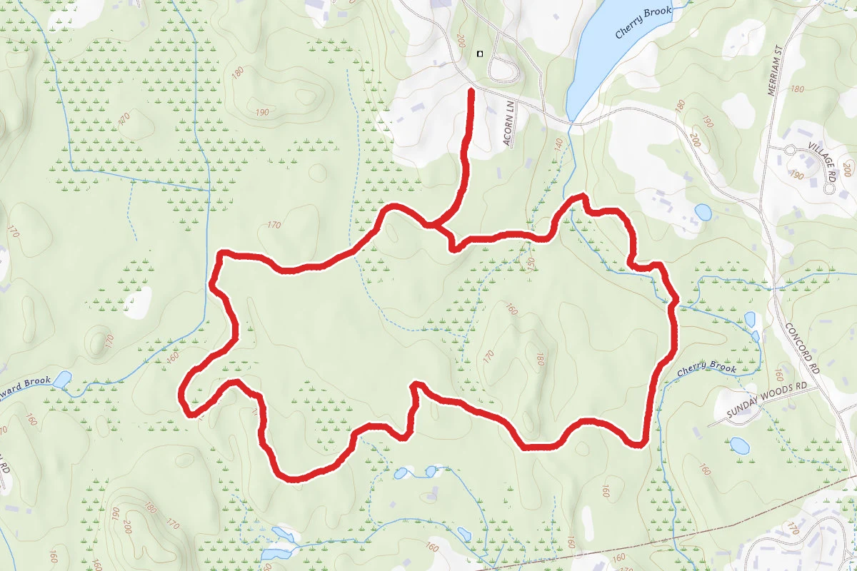 Jericho Town Forest Loop via Concord Road