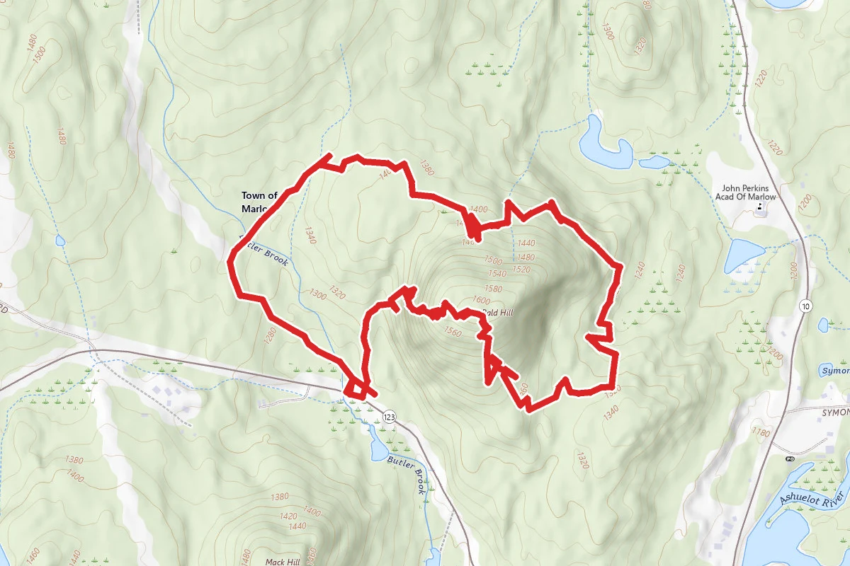 Bald Mountain Preserve