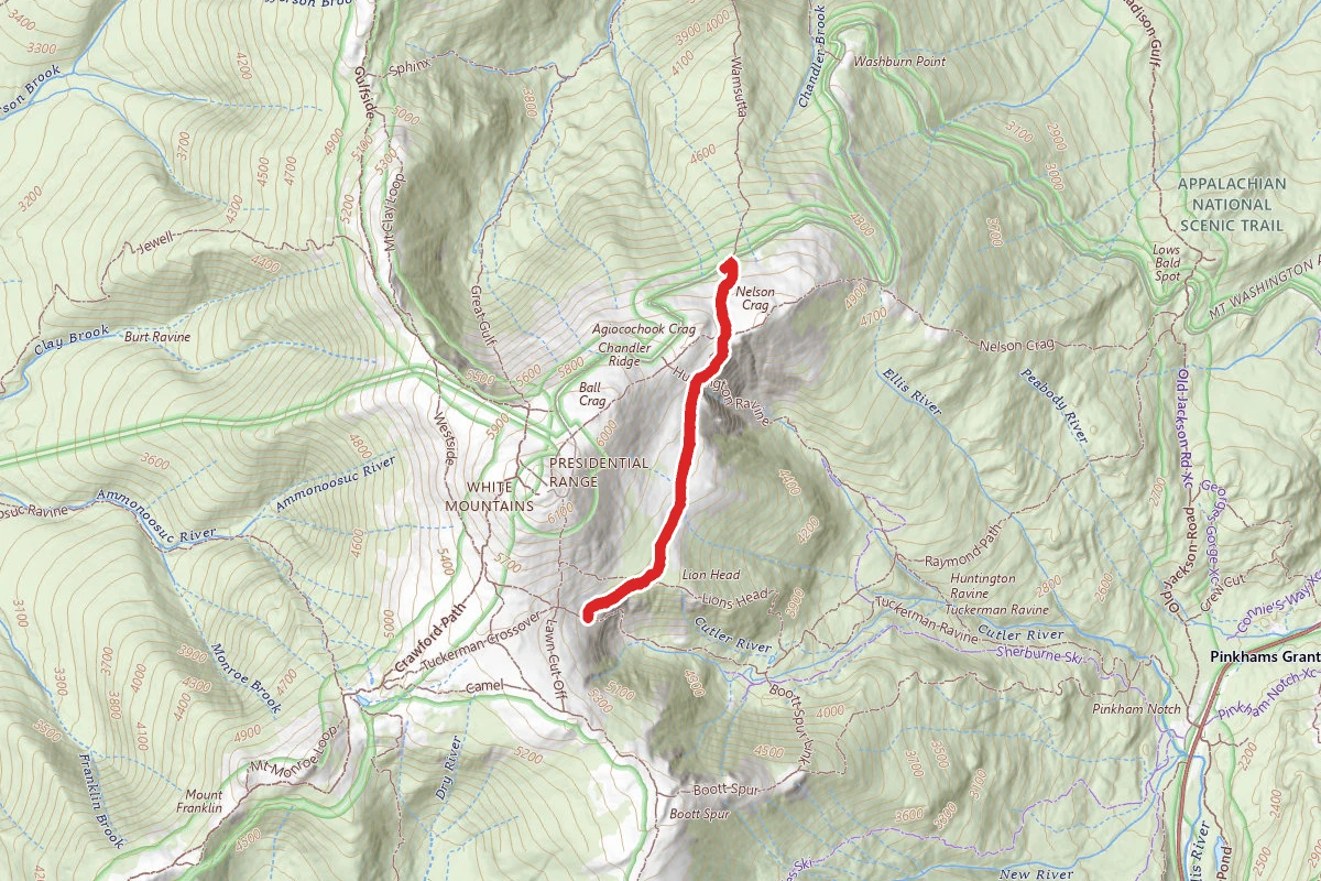 Alpine Garden Trail