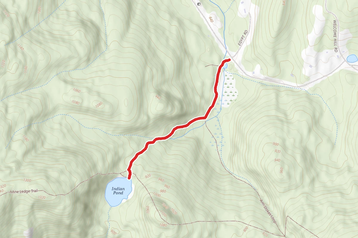 Ann Stokes Trail to Indian Pond