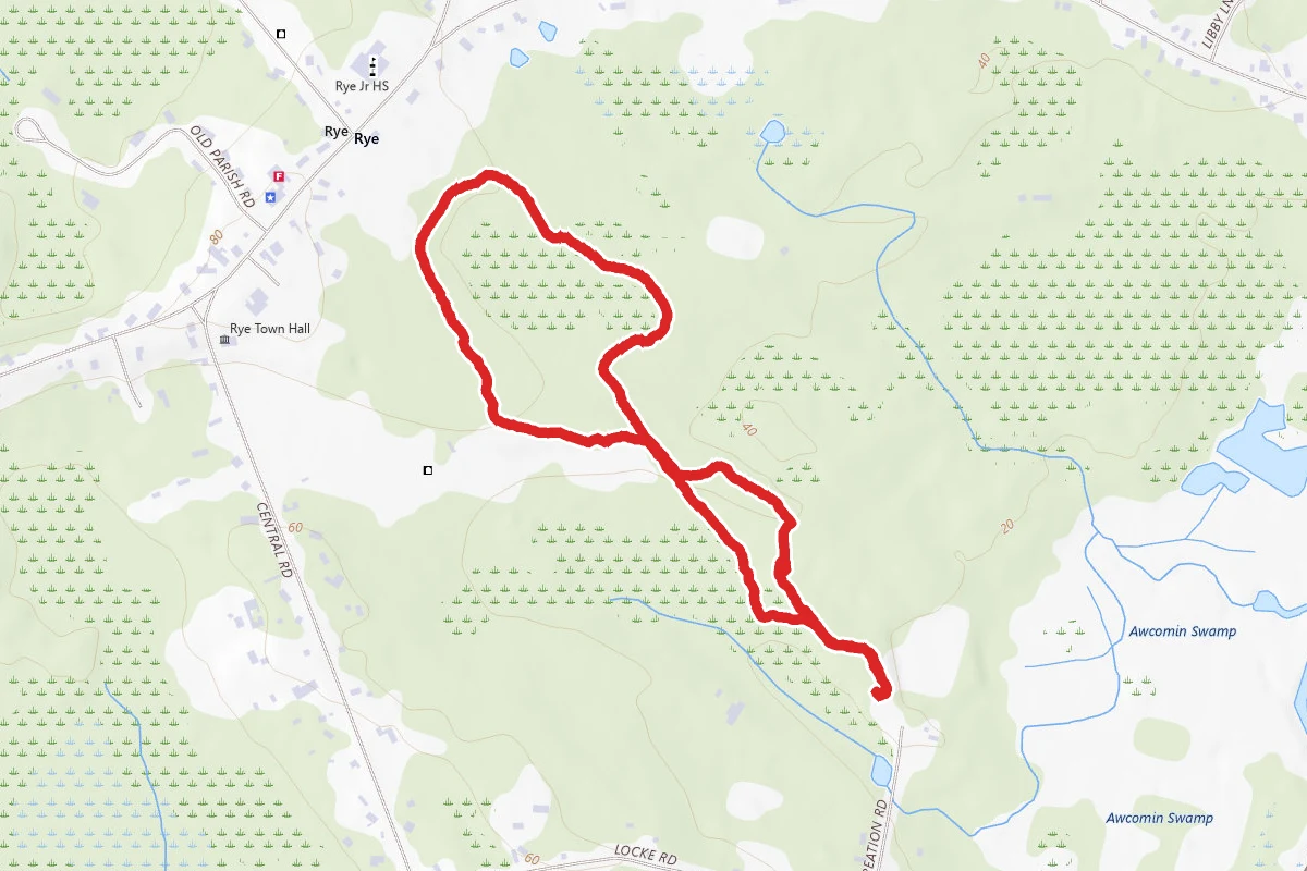 Rye Town Forest Loop