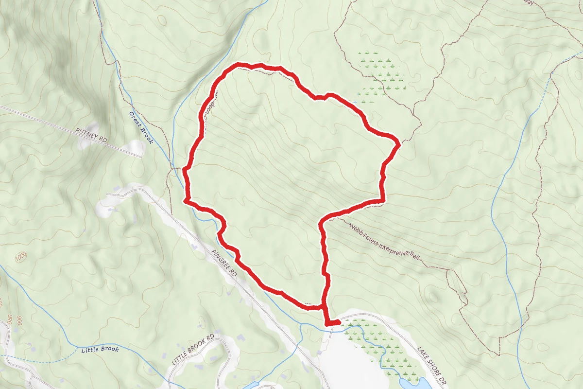 Cascade Loop