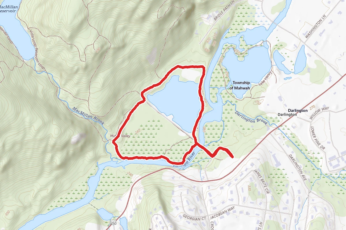 Scarlet Oak Pond Orange and Yellow Loop