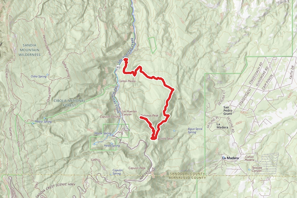 Palomas Peak Via Faulty Trail