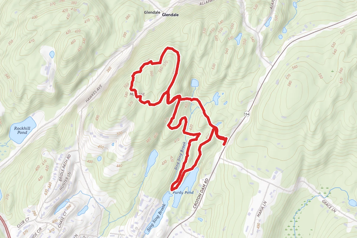 Motts Hill Trails