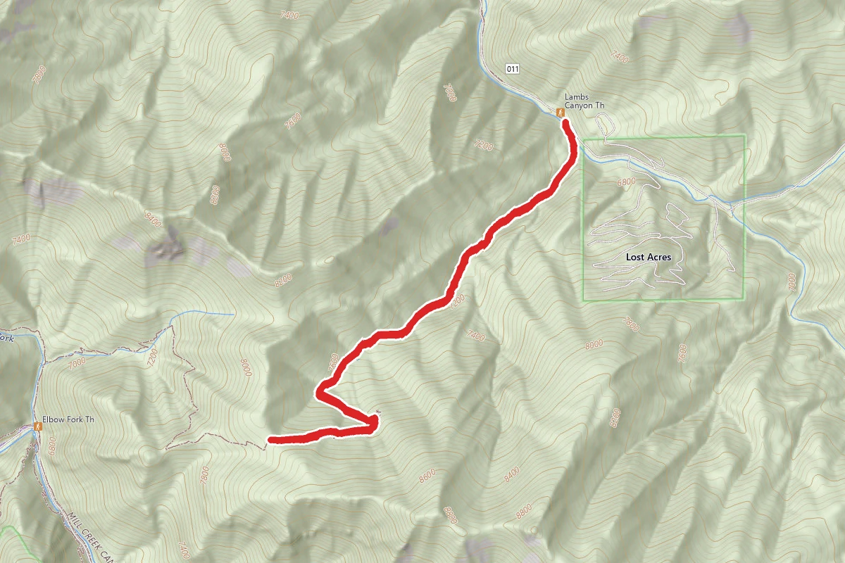 Lambs Canyon Trail
