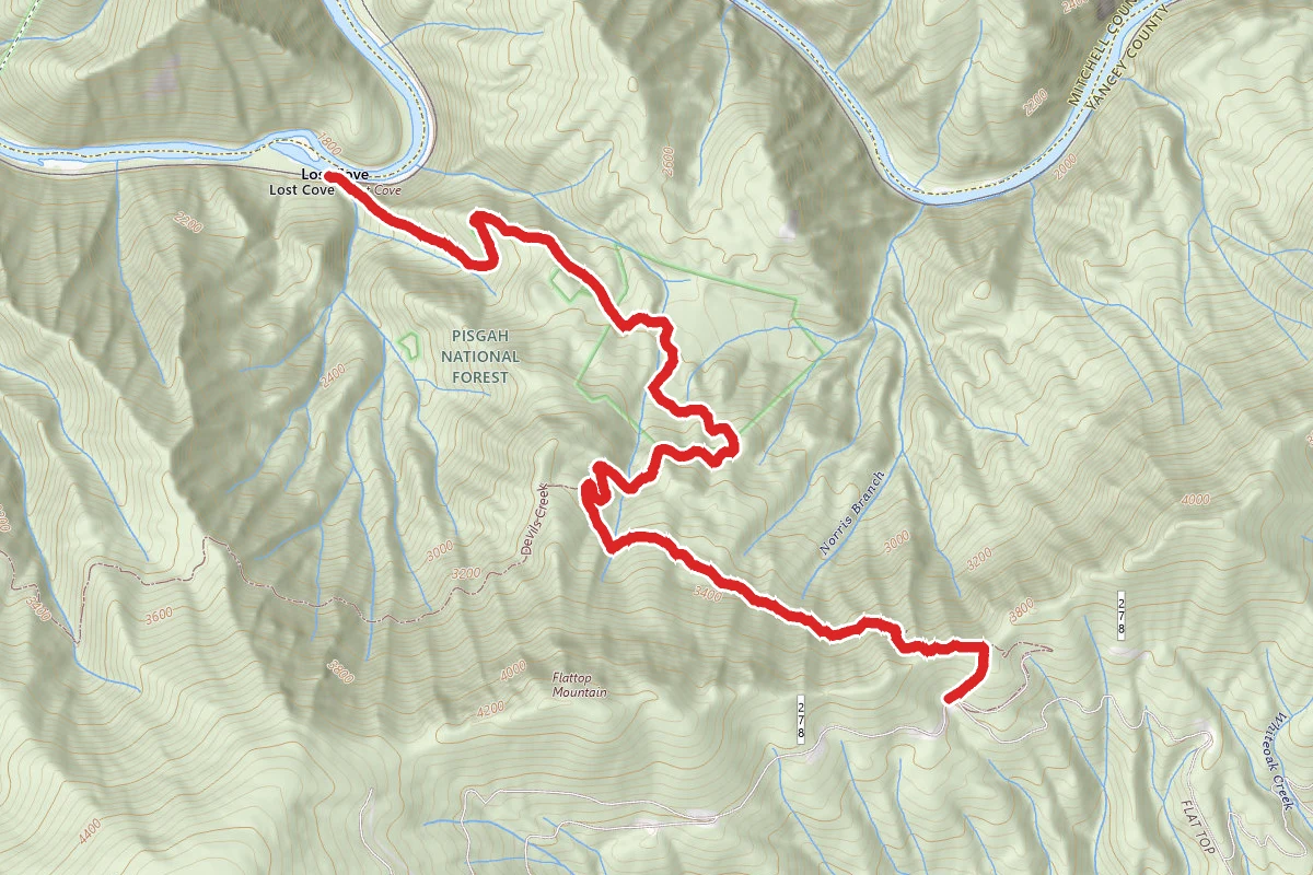 Lost Cove Trail