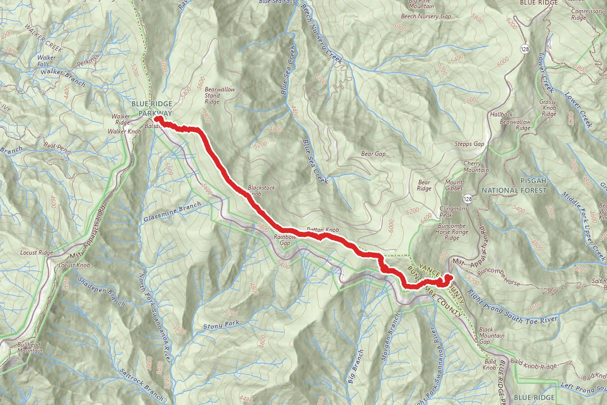 Mount Mitchell State Park Trail