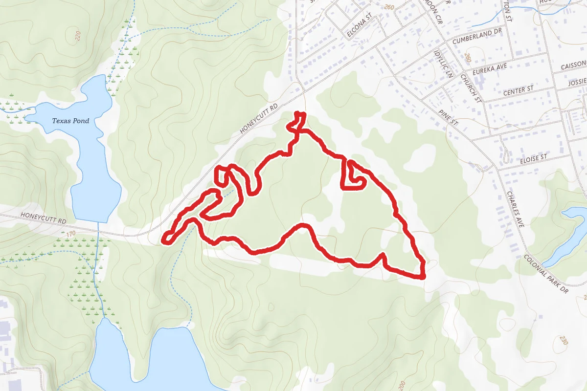 Smith Lake Blue Trail