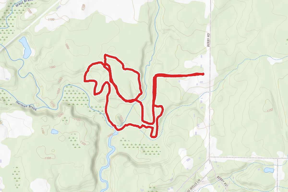 Shaw Woods
