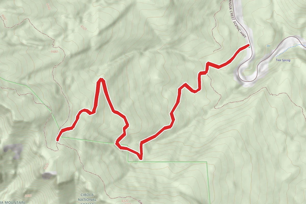 Tree Spring Trail