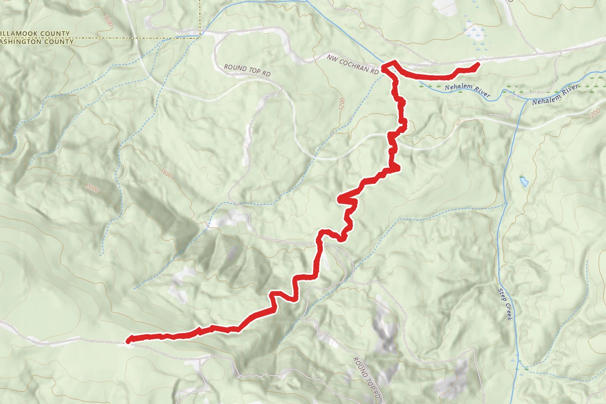 Northern Gales Creek Trail