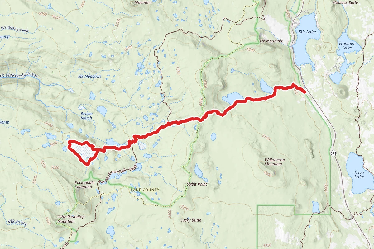 Mink Lake Loop Trail