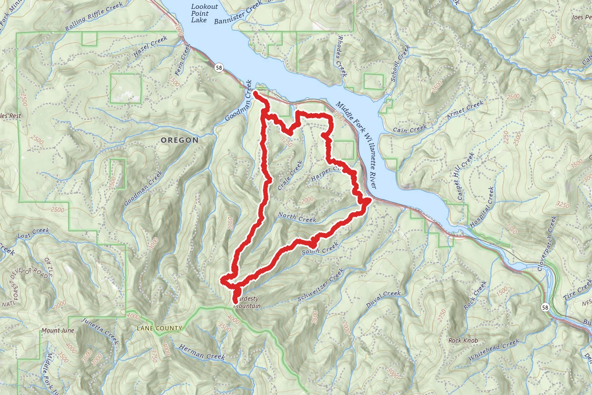 South Willamette Trail #3465 and Hardesty Mountain Loop