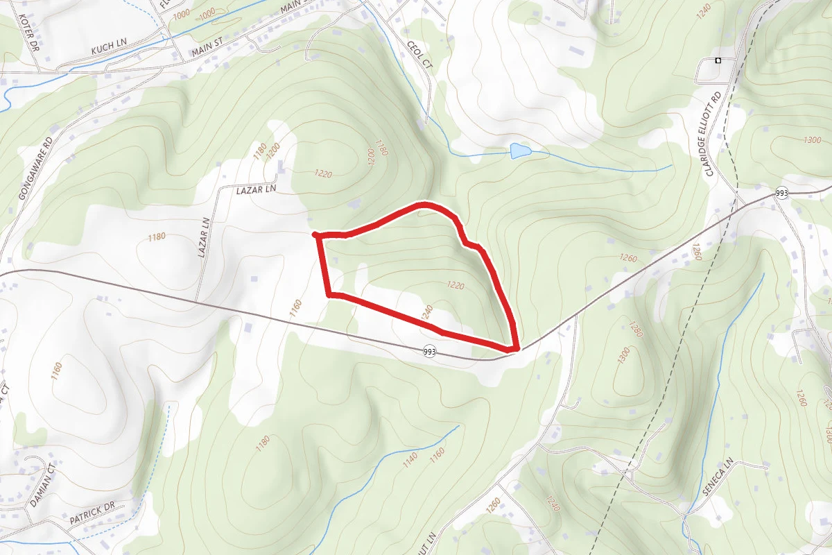 Edge Hill Trail