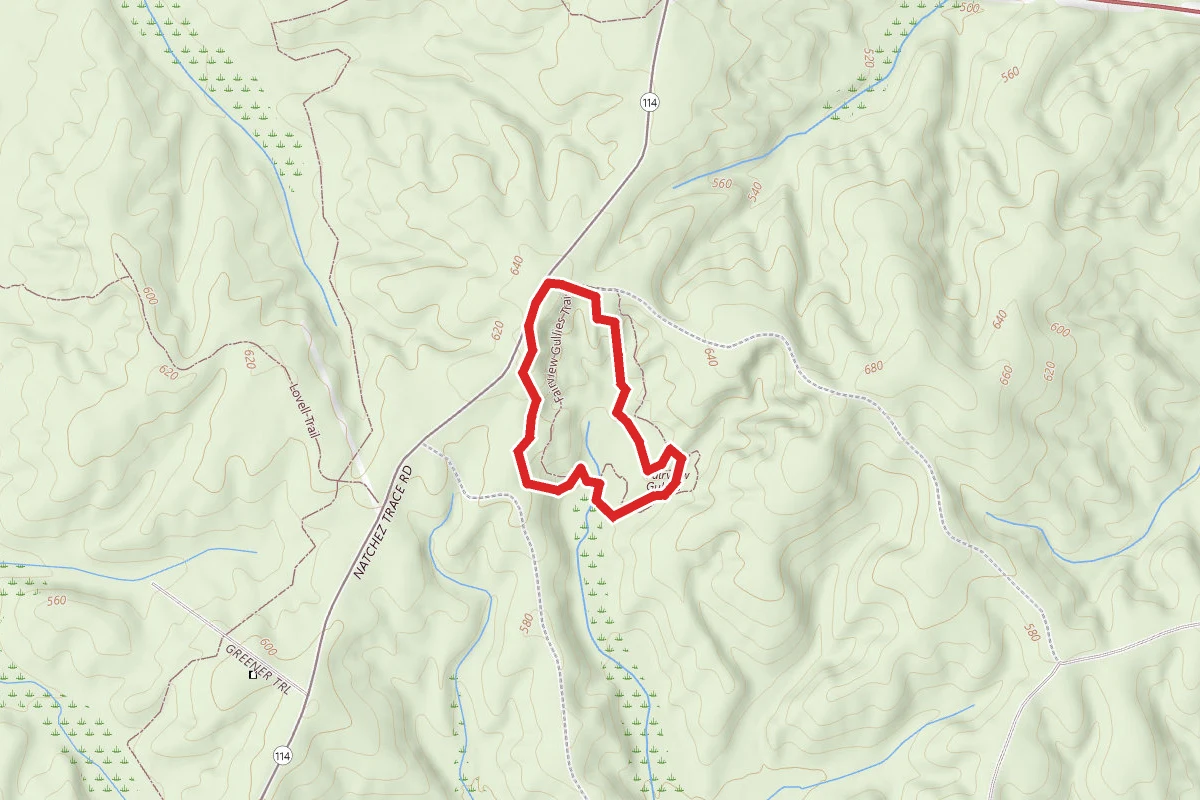 Fairview Gullies Loop Trail