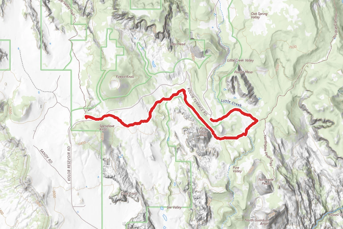 Wildcat Canyon Connector Trail