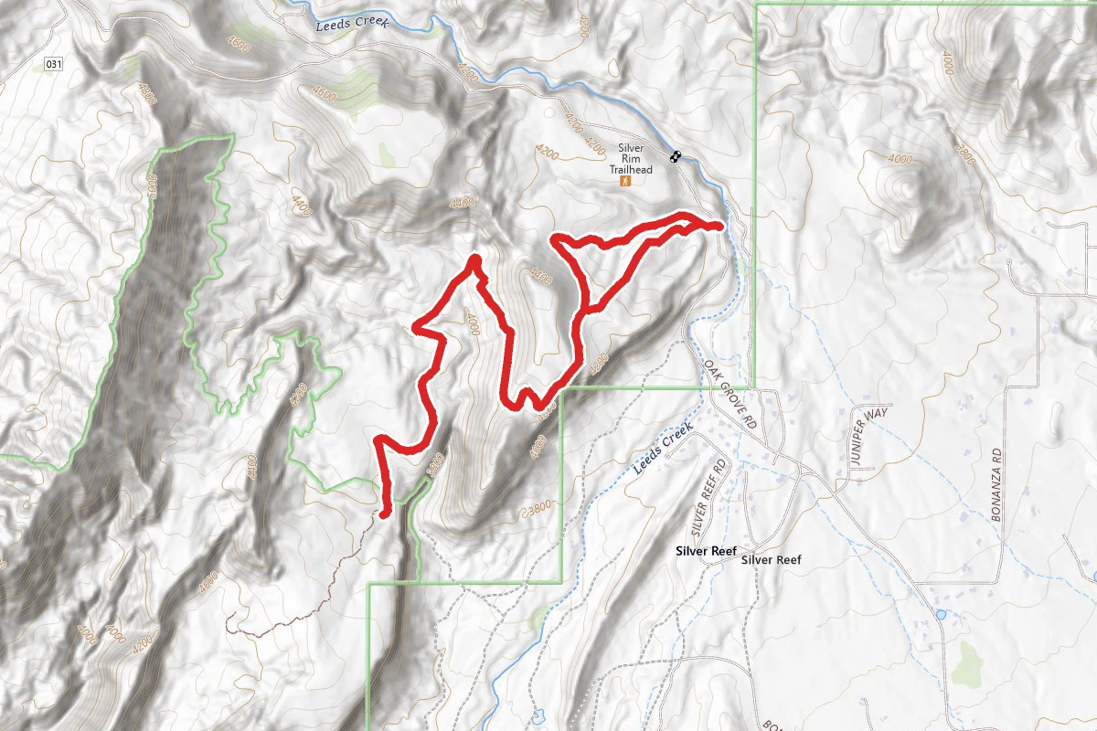 Sulver Rim Trail # 31042