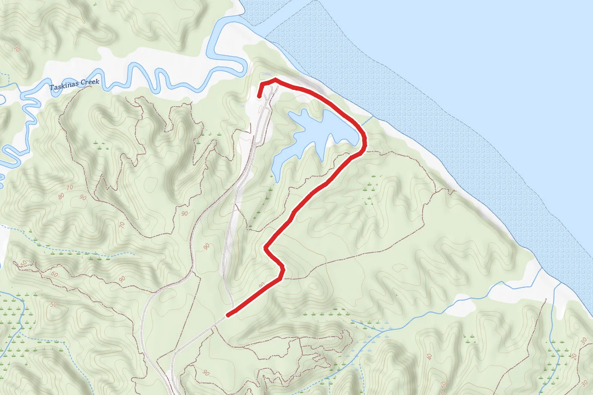 Woodstock Path Trail