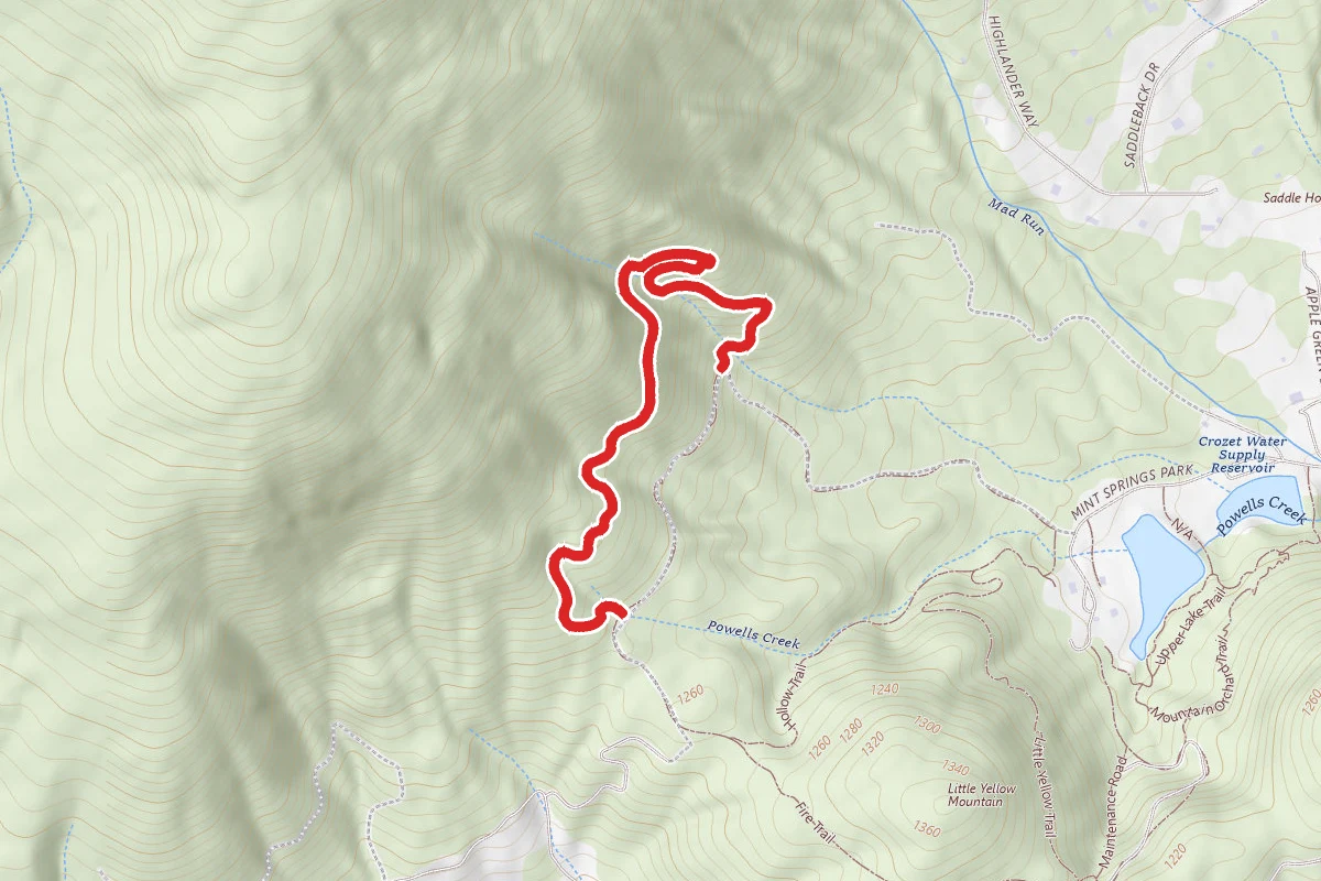 Big Survey and Fire Trail Loop