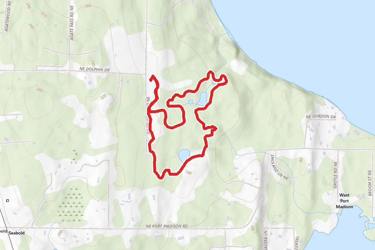 Bloedel Reserve Loop