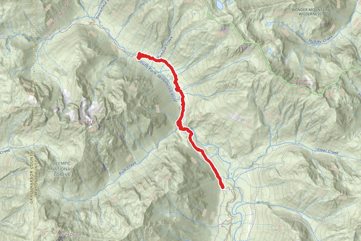 Upper South Fork Skokomish Trail