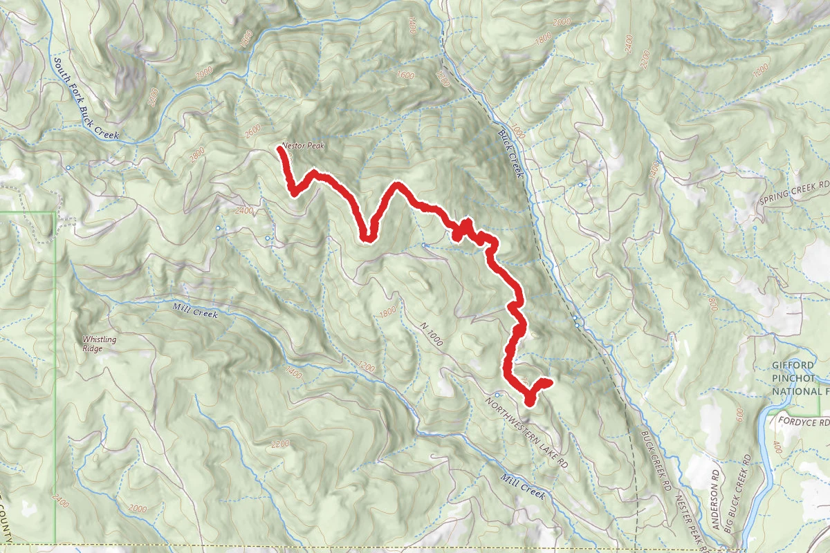 Nestor Peak Trail