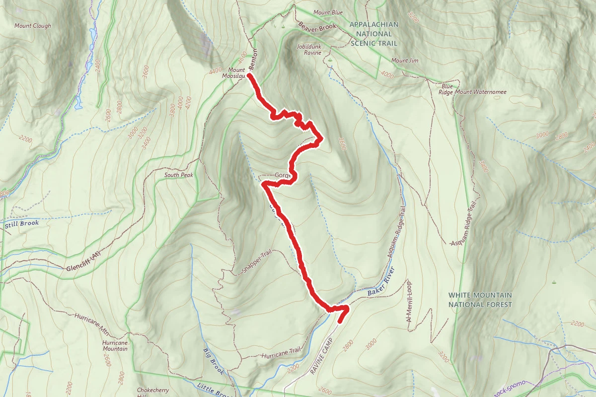 Mount Moosilauke via Gorge Brook Trail
