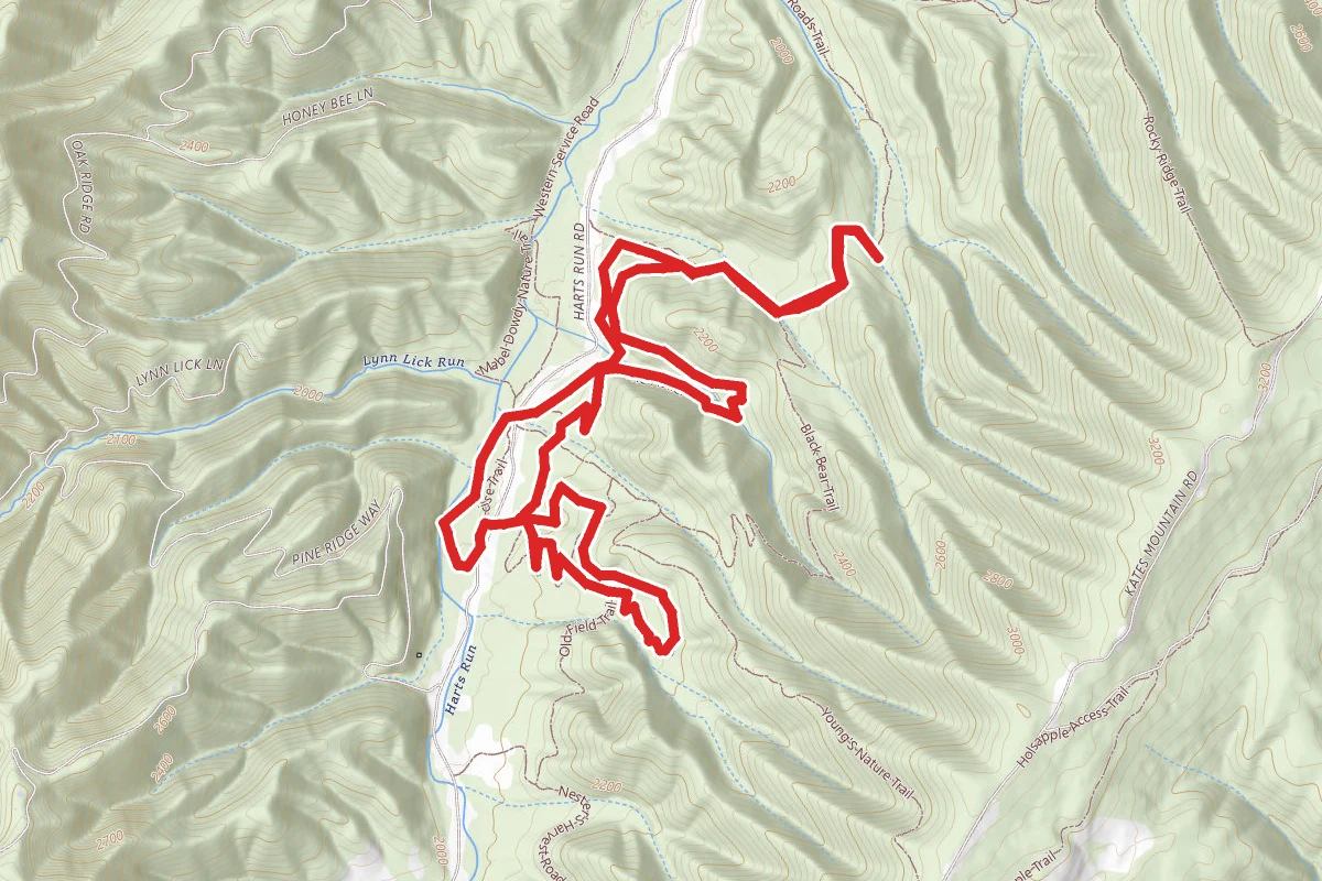Old Roads Trail